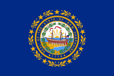 State Flag Of New Hampshire